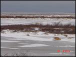 Click on one of the size names above to enlarge this image Click on one of the size names above to enlarge this image