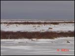 Click on one of the size names above to enlarge this image Click on one of the size names above to enlarge this image