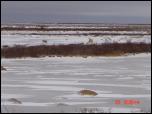 Click on one of the size names above to enlarge this image Click on one of the size names above to enlarge this image