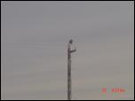 Click on one of the size names above to enlarge this image Click on one of the size names above to enlarge this image