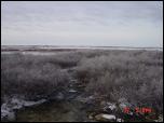 Click on one of the size names above to enlarge this image Click on one of the size names above to enlarge this image