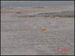 Click on one of the size names above to enlarge this image Click on one of the size names above to enlarge this image