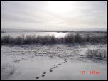 Click on one of the size names above to enlarge this image Click on one of the size names above to enlarge this image