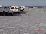 Click on one of the size names above to enlarge this image Click on one of the size names above to enlarge this image