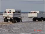 Click on one of the size names above to enlarge this image Click on one of the size names above to enlarge this image