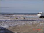 Click on one of the size names above to enlarge this image Click on one of the size names above to enlarge this image