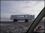 Click on one of the size names above to enlarge this image Click on one of the size names above to enlarge this image