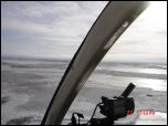 Click on one of the size names above to enlarge this image Click on one of the size names above to enlarge this image