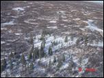 Click on one of the size names above to enlarge this image Click on one of the size names above to enlarge this image