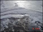 Click on one of the size names above to enlarge this image Click on one of the size names above to enlarge this image