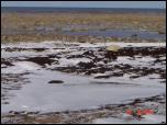 Click on one of the size names above to enlarge this image Click on one of the size names above to enlarge this image