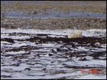 Click on one of the size names above to enlarge this image Click on one of the size names above to enlarge this image