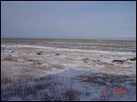 Click on one of the size names above to enlarge this image Click on one of the size names above to enlarge this image
