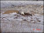 Click on one of the size names above to enlarge this image Click on one of the size names above to enlarge this image