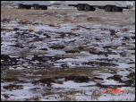 Click on one of the size names above to enlarge this image Click on one of the size names above to enlarge this image