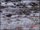 Click on one of the size names above to enlarge this image Click on one of the size names above to enlarge this image