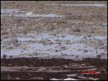 Click on one of the size names above to enlarge this image Click on one of the size names above to enlarge this image