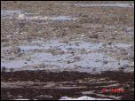 Click on one of the size names above to enlarge this image Click on one of the size names above to enlarge this image