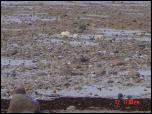 Click on one of the size names above to enlarge this image Click on one of the size names above to enlarge this image