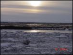 Click on one of the size names above to enlarge this image Click on one of the size names above to enlarge this image