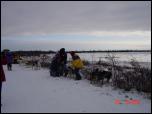 Click on one of the size names above to enlarge this image Click on one of the size names above to enlarge this image