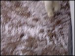 Click on image to play movie Click on image to play movie