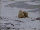 Click on image to play movie Click on image to play movie