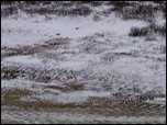 Click on image to play movie Click on image to play movie