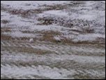 Click on image to play movie Click on image to play movie