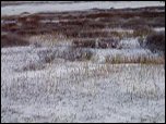 Click on image to play movie Click on image to play movie