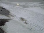 Click on image to play movie Click on image to play movie
