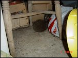 Click on one of the size names below to enlarge this image