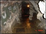 Click on one of the size names above to enlarge this image Click on one of the size names above to enlarge this image