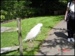 Click on one of the size names above to enlarge this image Click on one of the size names above to enlarge this image