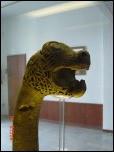 Click on one of the size names above to enlarge this image Click on one of the size names above to enlarge this image