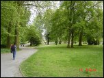 Click on one of the size names above to enlarge this image Click on one of the size names above to enlarge this image