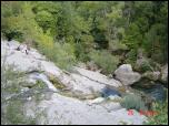 Click on one of the size names above to enlarge this image Click on one of the size names above to enlarge this image