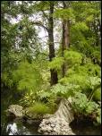 Click on one of the size names above to enlarge this image Click on one of the size names above to enlarge this image