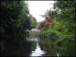 Click on one of the size names above to enlarge this image Click on one of the size names above to enlarge this image