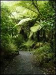 Click on one of the size names above to enlarge this image Click on one of the size names above to enlarge this image