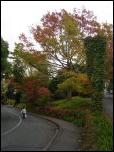 Click on one of the size names above to enlarge this image Click on one of the size names above to enlarge this image