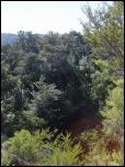 Click on one of the size names above to enlarge this image Click on one of the size names above to enlarge this image