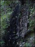 Click on one of the size names above to enlarge this image Click on one of the size names above to enlarge this image