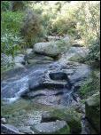 Click on one of the size names above to enlarge this image Click on one of the size names above to enlarge this image