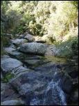 Click on one of the size names above to enlarge this image Click on one of the size names above to enlarge this image