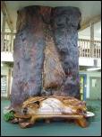 Click on one of the size names above to enlarge this image Click on one of the size names above to enlarge this image