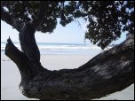 Click on one of the size names above to enlarge this image Click on one of the size names above to enlarge this image